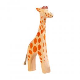 image: Giraffe stehend