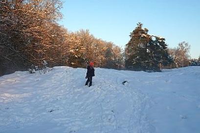 Winter im Jahreszeitengarten